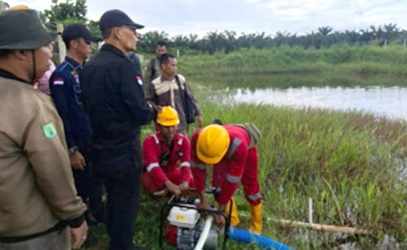 Kementan Perketat Pengawasan Perusahaan Sawit Antisipasi Ancaman Karhutla 2026