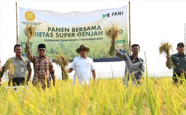Akselerasi Kedaulatan Pangan, Mentan Syahrul Lawan Alih Fungsi Lahan