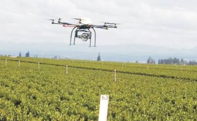 CBS in October: Exports in Agriculture Increased 23,8 Percent Y o Y