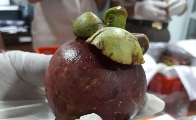 Guru Besar IPB: Kebijakan Impor Buah Pemerintah Pertimbangkan Kepentingan Petani