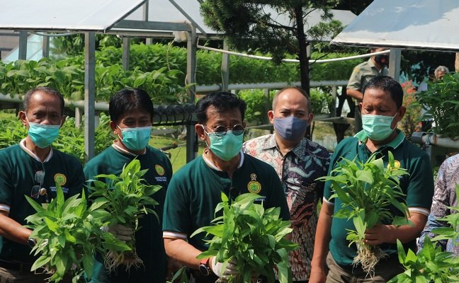 Hari Pangan Sedunia 2020, Petani Muda dan Kementan Serukan Gerakan Berkebun
