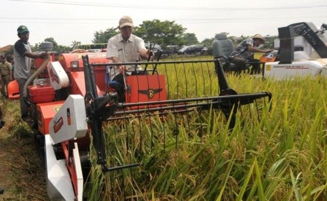 Indef Apresiasi Sektor Pertanian tetap Tumbuh di Kuartal III