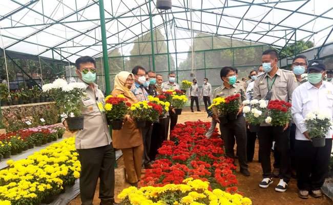 Kementan Pacu Inovasi Tanaman Hias Untuk Ekspor