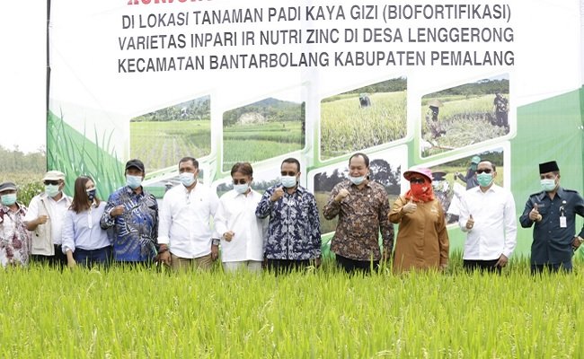Kunjungi Pemalang, Komisi IV DPR Apresiasi Program Kementan Atasi Stunting