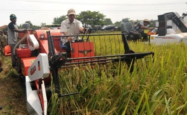 Pertanian Kekuatan Besar Buka Lapangan Kerja