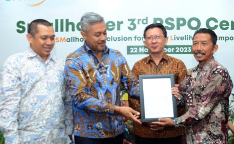 Luar Biasa! 628 Petani Sawit Swadaya “SMILE” Raih Sertifikat RSPO