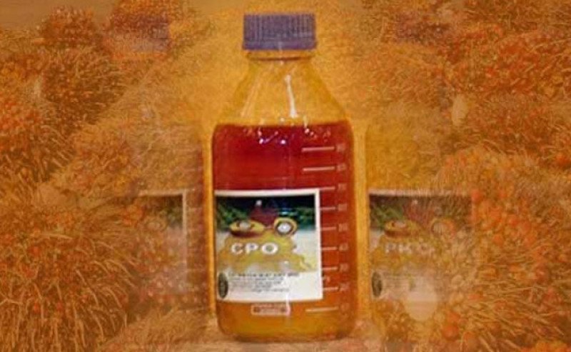 Harga CPO KPBN Naik Pada Rabu (19/11), Bursa Malaysia Cetak Rekor Tertinggi dalam Tiga Pekan