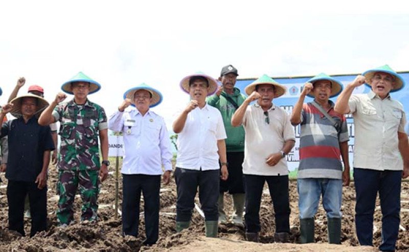 Kementan Genjot Swasembada Gula Lewat Program Bongkar Ratoon dan Ekspansi Areal Tebu di Brebes