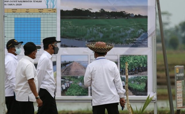 KTNA dan PERAGI Dukung Program Food Estate, Untuk Ketahanan Pangan Nasional