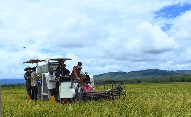 Mentan Syahrul Pantau Jalanya Produktivitas Pertanian di Pulau Buru