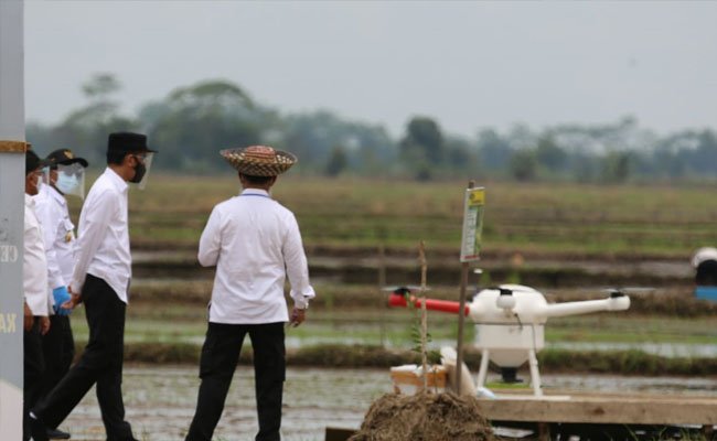 Rupiah Would Competitively Flow from the Food Estate in Central Kalimantan