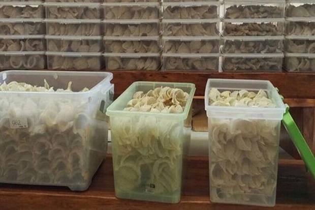 Giatkan Produksi dan Ekspor Sarang Burung Walet, Kementan Maksimalkan SPIP