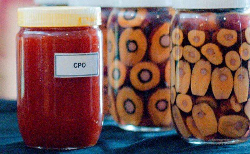 Harga Minyak Sawit Mentah (CPO) di Inacom Naik Sedikit pada Rabu (16/10)