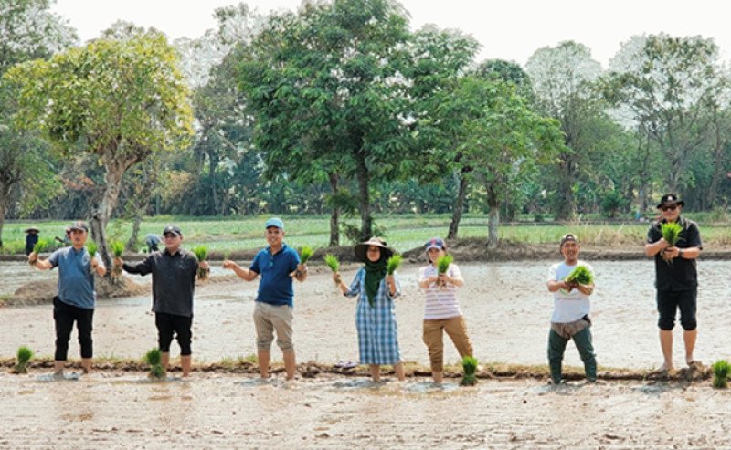 Genjot Swasembada Pangan; Kementan Bersama Petani Lakukan Penanaman Tahap Ketiga di Banten