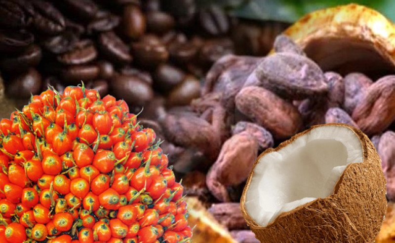 Kementan Dorong Hilirisasi Perkebunan, Petani Jadi Pengusaha Desa