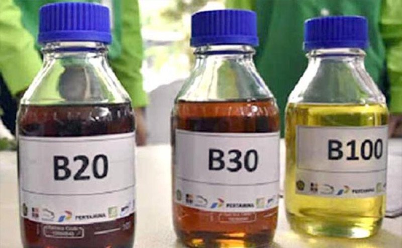 Riset BRIN Perkuat Posisi Indonesia di Garis Depan Inovasi Biodiesel Sawit