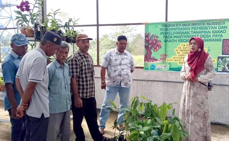 Dosen dan Mahasiswa Unimal Latih Petani Aceh Utara Tingkatkan Kualitas Bibit Kakao