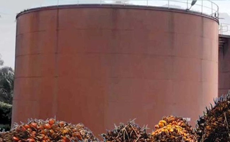 Harga CPO KPBN Inacom Kamis (23/10) Turun, Bursa Berjangka Malaysia Melemah Empat Hari Berturut