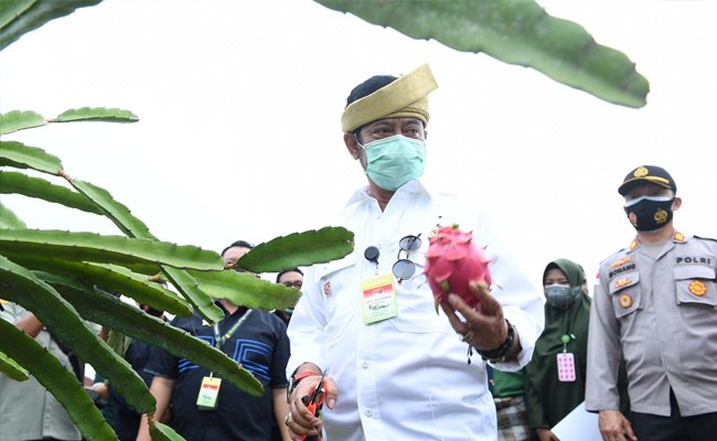 Dari Balai Benih Induk Kepri, Mentan Lihat Peluang Kekuatan Ekonomi