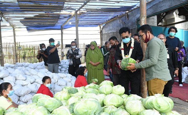 From East Java, Minister Syahrul Released Cabbage Export to Taiwan