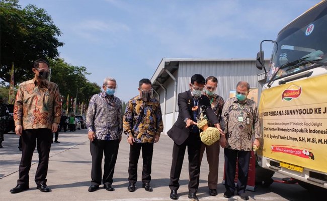 In the Pandemic, The Livestock Processed Product Exports Still Run and in Demand