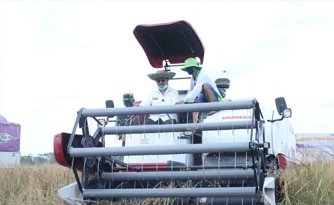 Masyarakat dan Mahasiswa Kalteng Dukung Program Food Estate