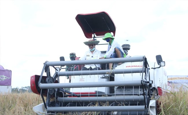 Mentan: Kalimantan Selatan bagian lumbung pangan nasional