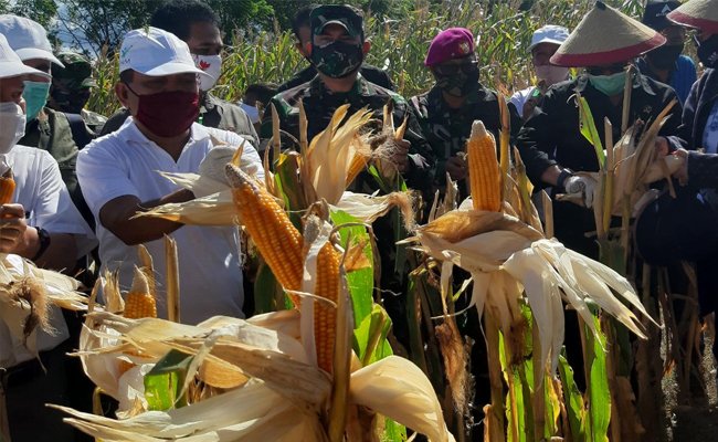 Ministry of Agriculture Supports West Kalimantan to the Environmental Pest Control