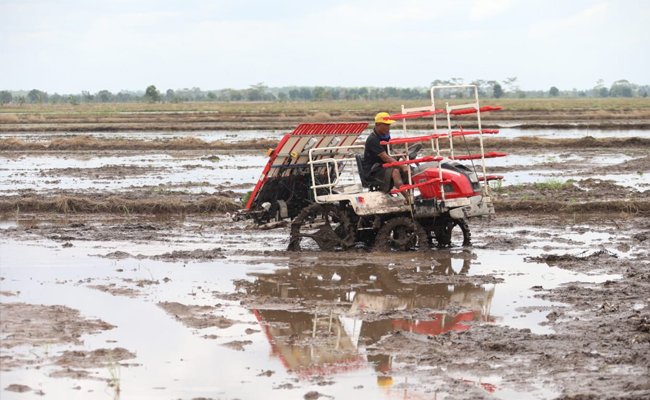 Sah, DPR Ketuk Pagu Anggaran 2021 Kementan