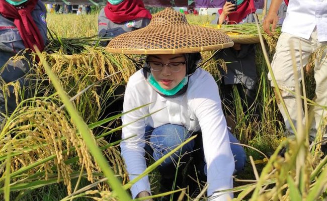 The National Agriculture Day 2020, Regent of Purwakarta Appreciated the Breakthrough Program of Ministry of Agriculture