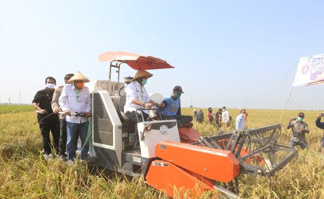 The Strategies of Ministry of Agriculture to Develop the Agriculture in the Future