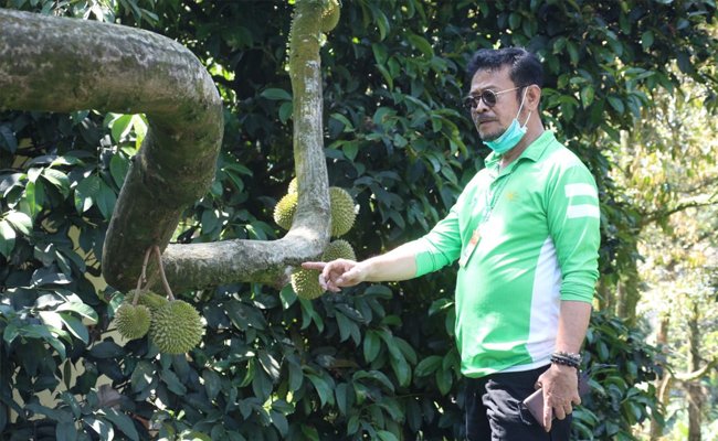 Together with Ministry of Agriculture, Warso Farm Is Ready to Develop 13 Hectares to Dragon Fruit and Durian