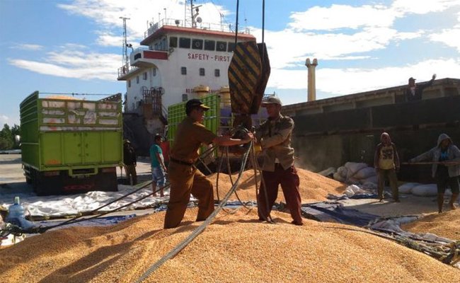 Touna Successfully Exported Corn: Ministry of Agriculture Encouraged Develop Agricultural Corporate