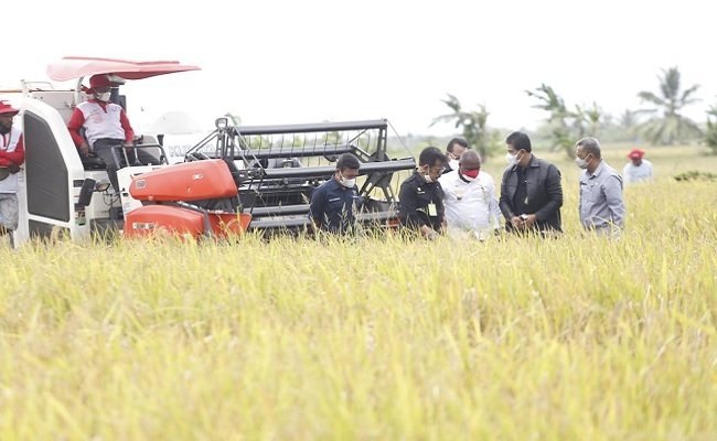 Kunker Mentan Ke Papua, Bukti Negara Hadir Bangun Pertanian Indonesia Secara Merata