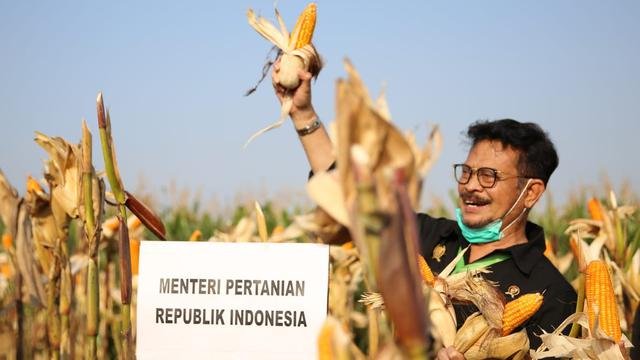 Ogah Disalahkan, Mentan SYL Sambangi Pabrik Pakan Ternak Terbesar, Jagung Aman Kok...