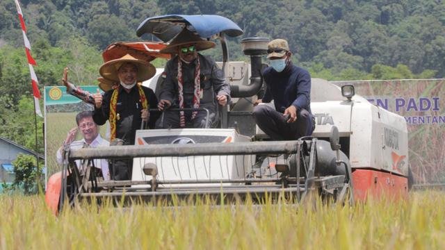 Panen VUB Inpari 32 di Kalbar Tembus 7,2 Ton/Ha, Mentan SYL Sumringah
