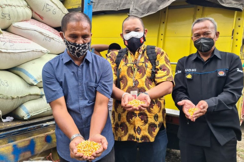 Suroto Jadi Raja, Usai Cegat Presiden Jokowi Dapat Kiriman 20 Ton Jagung 