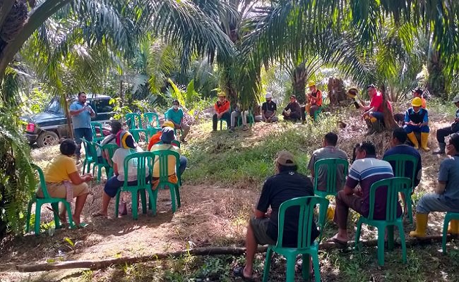  Dikala Petani Sawit Swadaya Bergabung Ke Koperasi, 5 Keuntungan Menanti