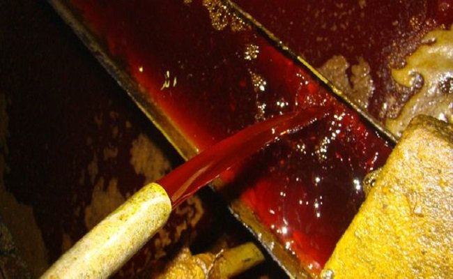 Diprediksi Harga Minyak Sawit  RM 3.300-3.500 per Ton Untuk Seminggu Kedua September 