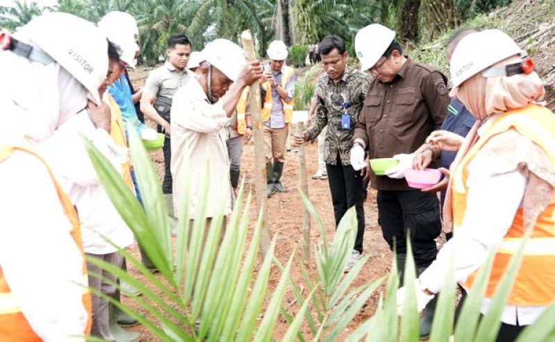 Kementan Gelar Tanam Padi Gogo Serentak di Kebun PSR