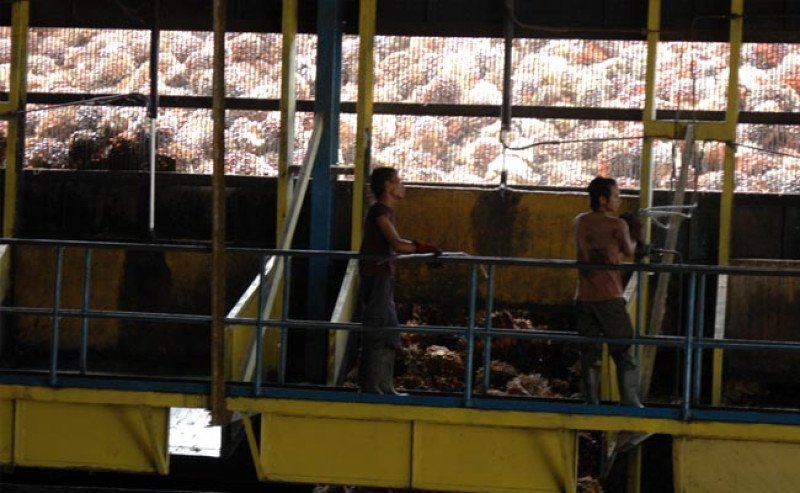 Harga Minyak Sawit Mentah (CPO) di Inacom Naik Tipis Pada Selasa (10/9)