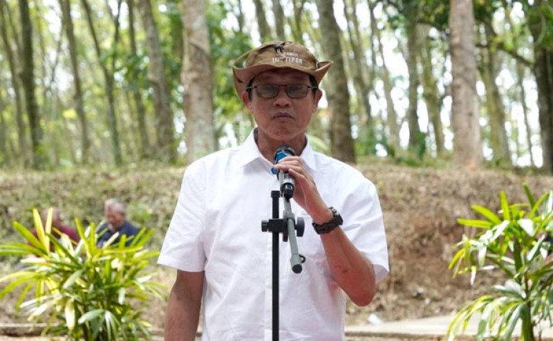 Direktur Kelapa Sawit dan Aneka Palma Ajak Mahasiswa Baru INSTIPER Tingkatkan Produktivitas Sawit Indonesia