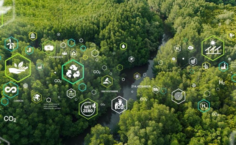 Hanya 18% Target Net Zero Tervalidasi, Scope 3 Jadi Sorotan Strategi Iklim
