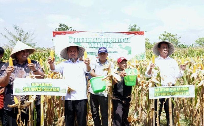 Panen Raya Jagung Serentak Jadi Momentum Akselerasi Swasembada Pangan