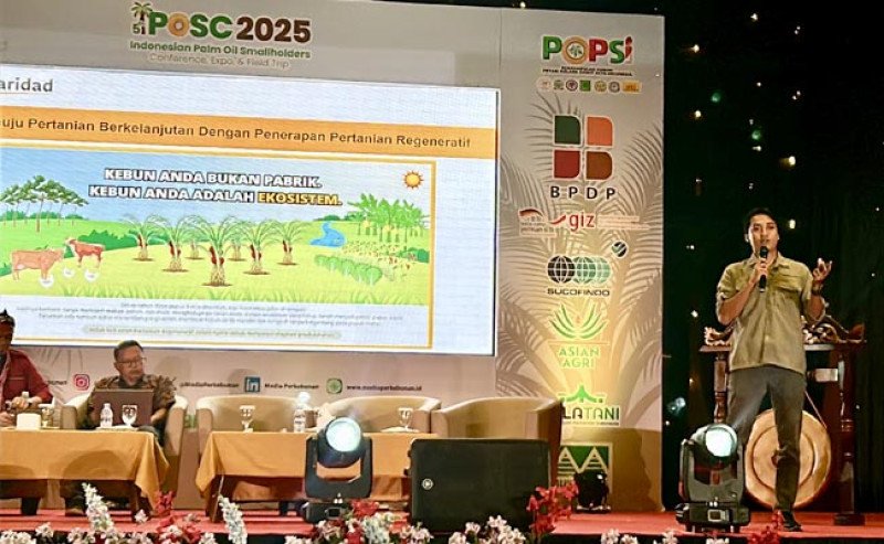 Solidaridad Dorong Pertanian Regeneratif Jawab Stagnasi Produktivitas Sawit Rakyat