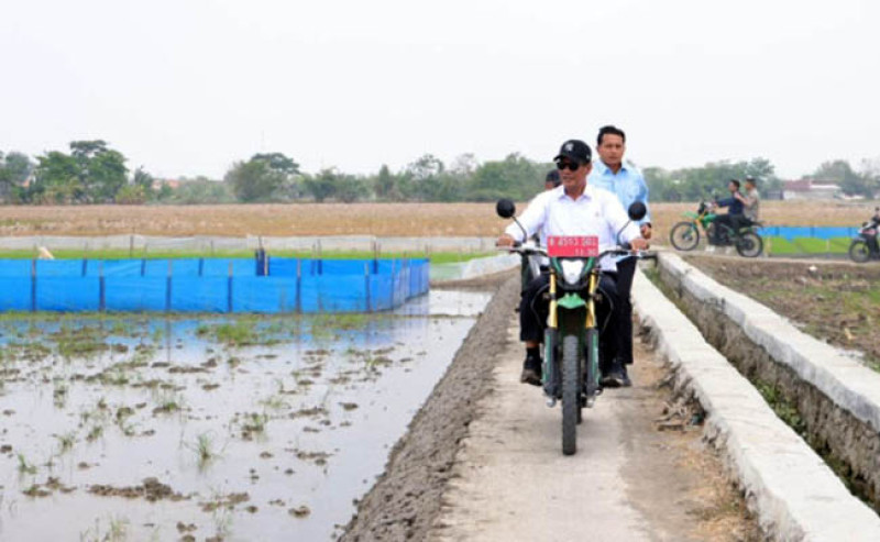 Mentan Amran Sidak Sawah Karawang, Targetkan Tanam Tiga Kali di Musim Kemarau