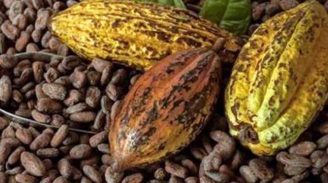 AGRICOM