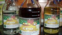 Harga Referensi CPO Turun 3,9 persen, Pemerintah Sesuaikan Bea Keluar dan Pungutan Ekspor Desember 2025 Agricom, Harga CPO