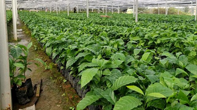 AGRICOM