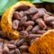 AGRICOM, Harga Biji Kakao